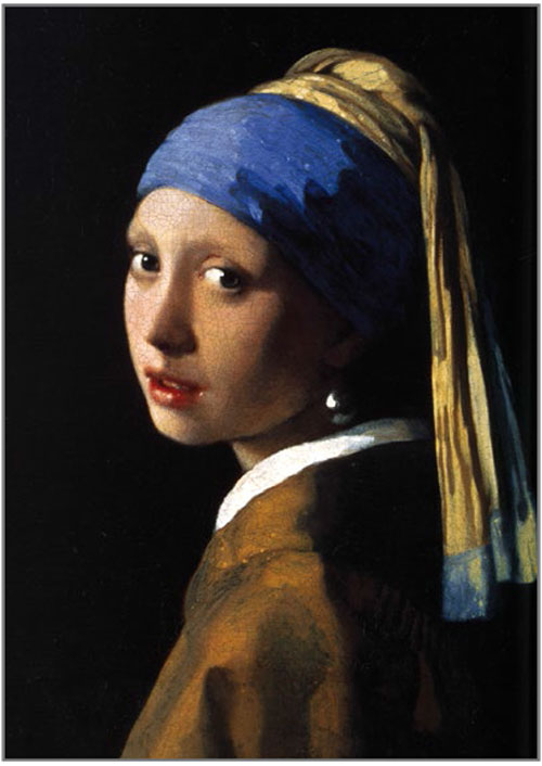 CRD805 Vermeer