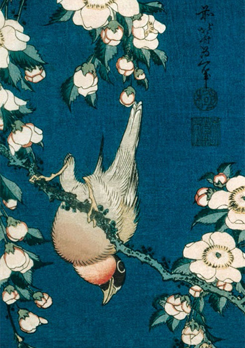 Nob 203 Hokusai