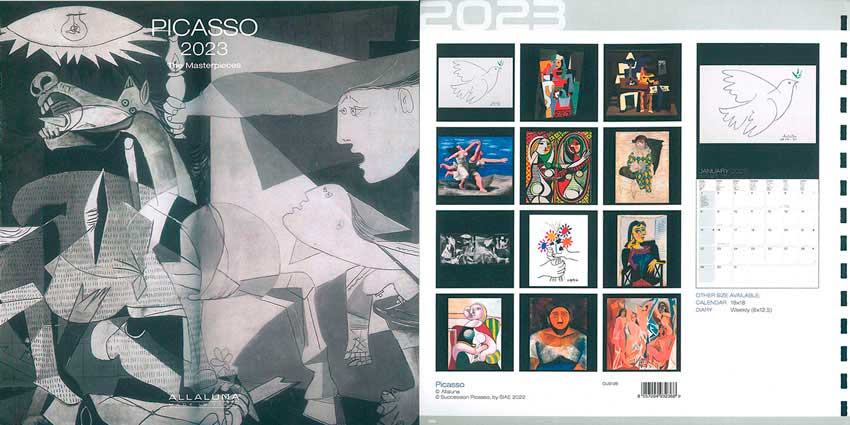 Cus 138 Picasso