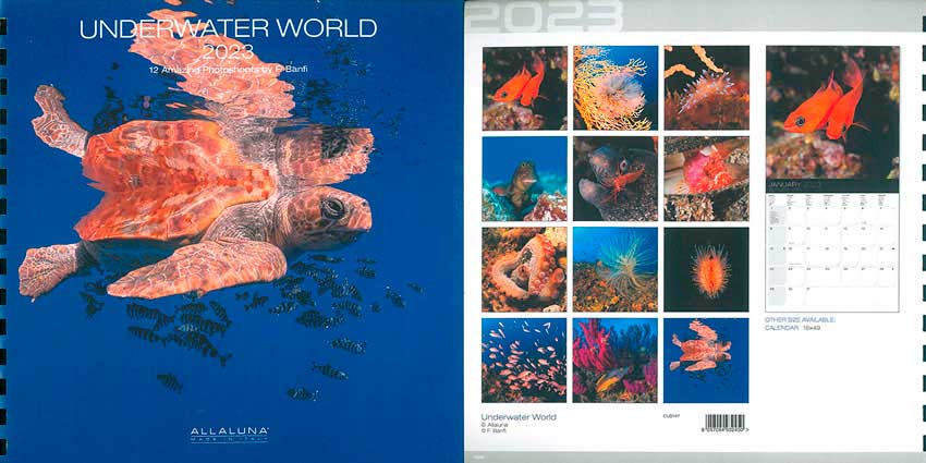 Cus 147 Underwater World